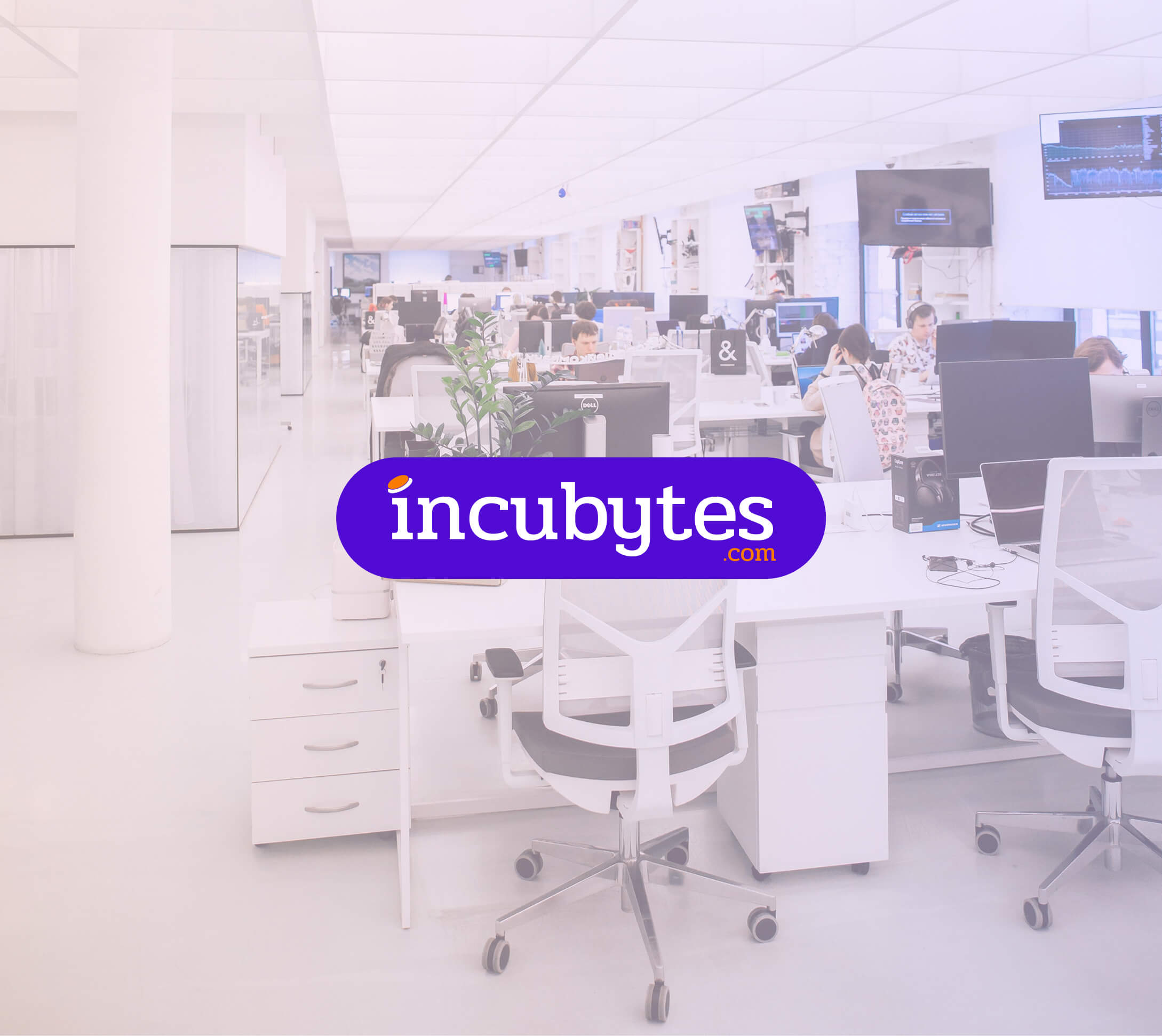 Who we are - old.incubytes.com